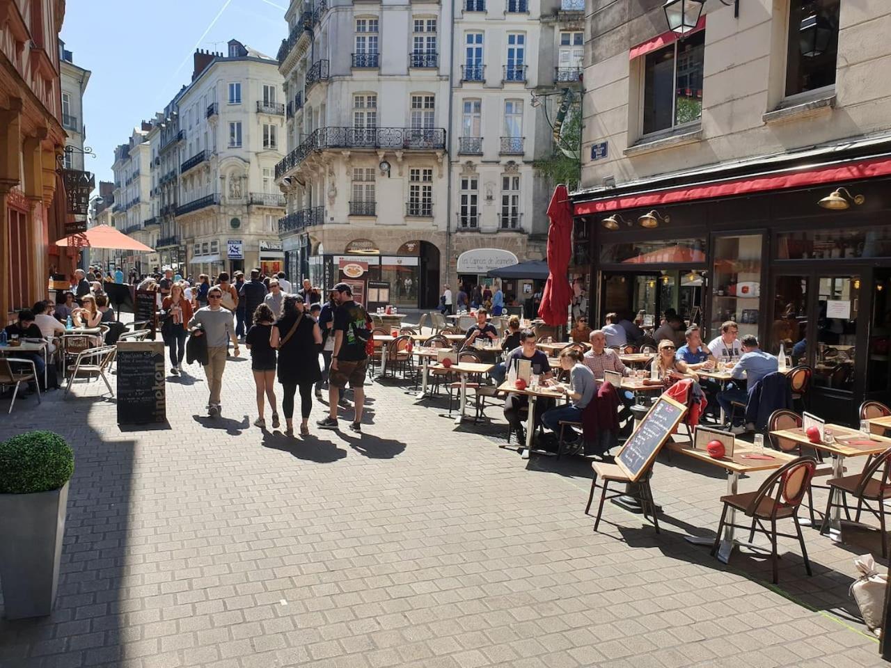 Le Nid Des Carmes Lägenhet Nantes Exteriör bild